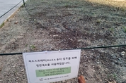 [포토] 가을 기다리는 당현천의 씨앗