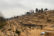 경기 구리시립묘지 등 설 연휴기간 폐쇄…코로나19 방역 조치