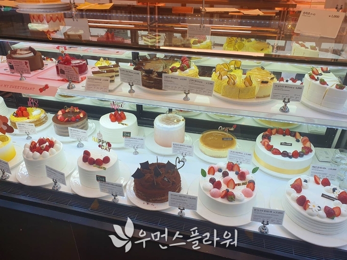 박종미 기자