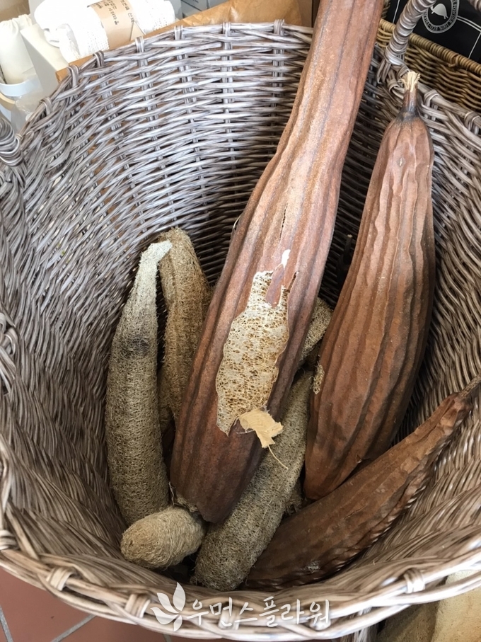 천연 수세미. 