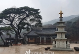 [포토] 예산 수덕사의 봄비