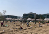쌍문동 친환경 나눔텃밭, 10일 개장 