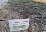 [포토] 가을 기다리는 당현천의 씨앗