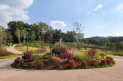 [포토] 동네뒷산 공원화 끝낸 창동 초안산근린공원 
