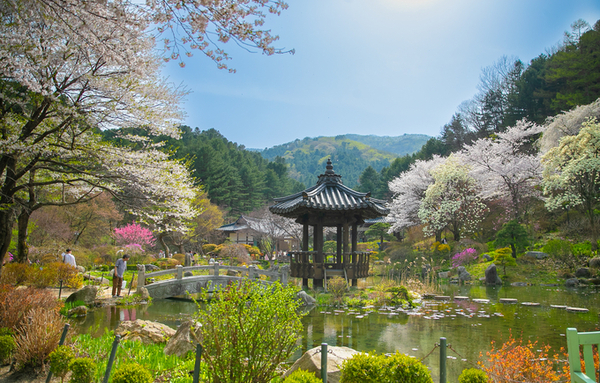 [행사돋보기] 아침고요수목원 봄꽃페스타